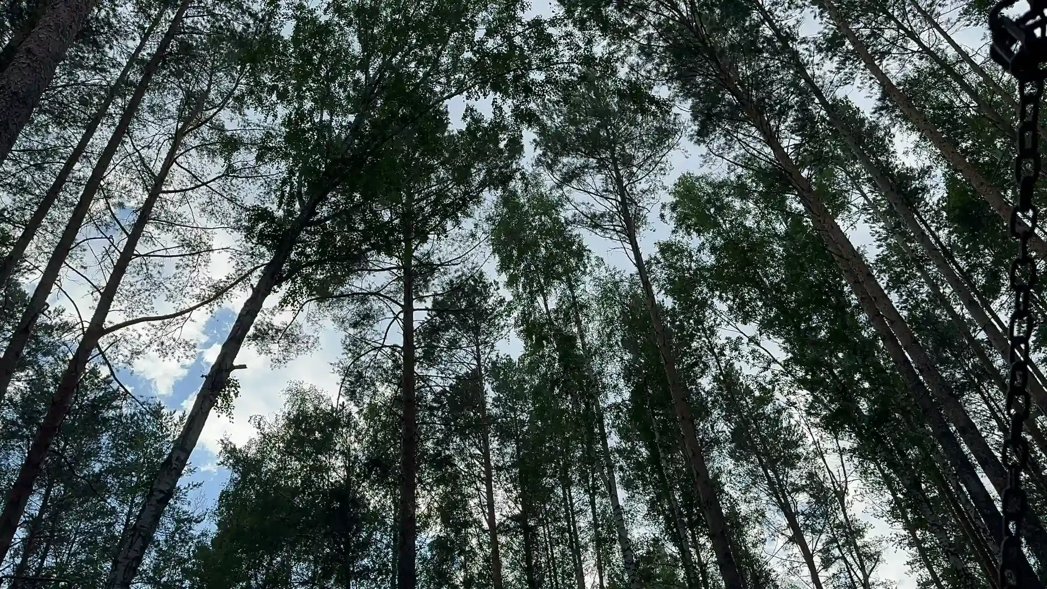 Собственный эргопарк в Клиническом Институте Мозга