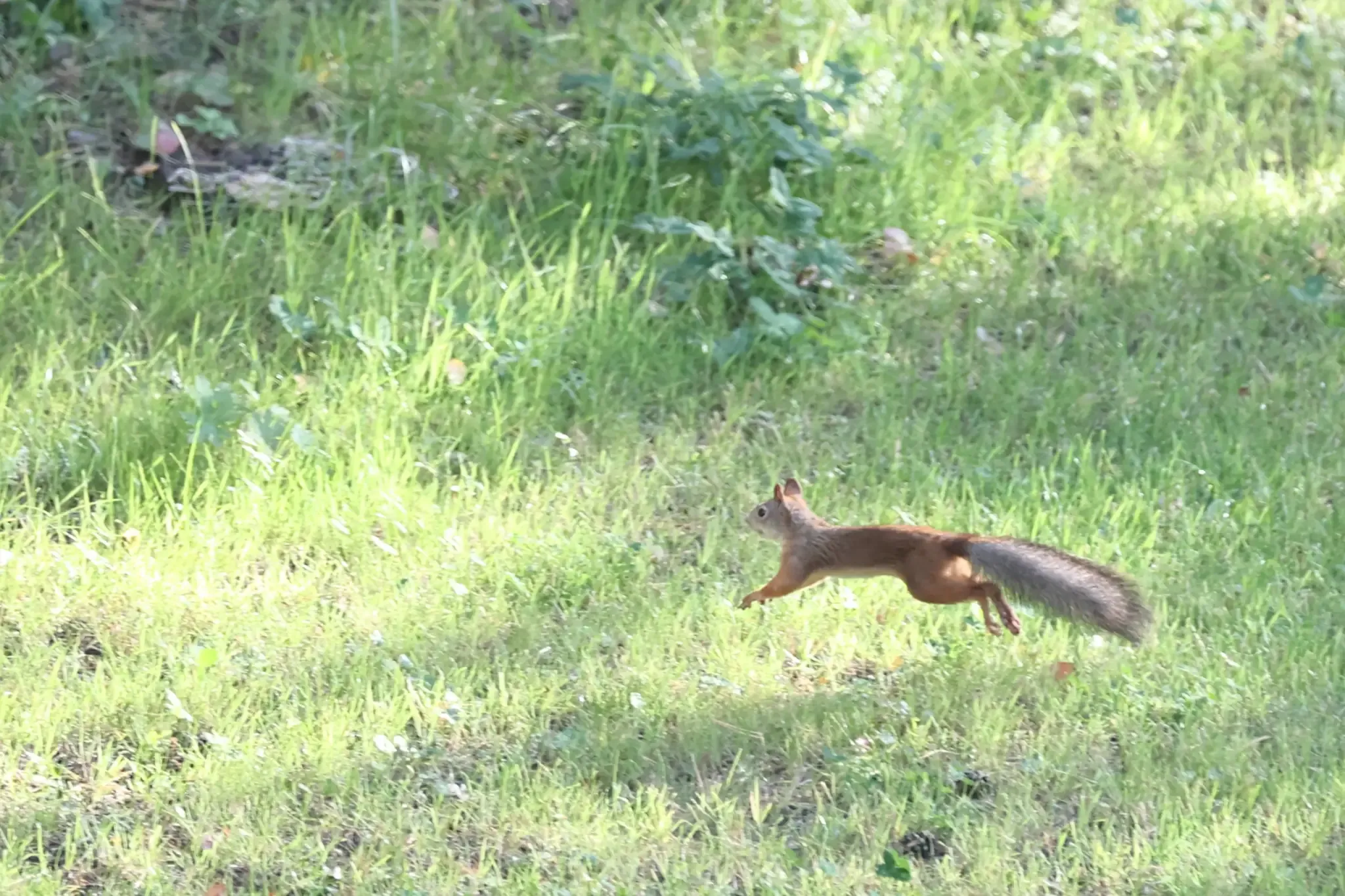 Эргопарк в Клинике Института Мозга